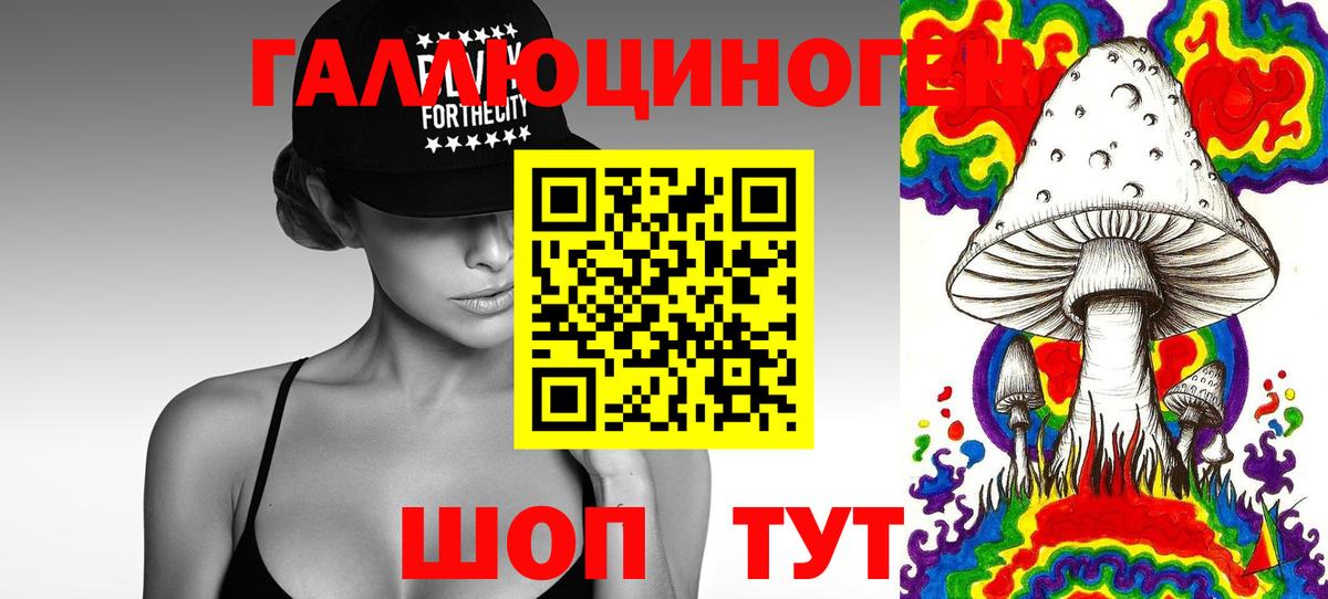 Галлюциногенные грибы MAGIC MUSHROOMS  Галлюциногенные грибы Psilocybe  хочу   Хасавюрт  Вход с VPN 