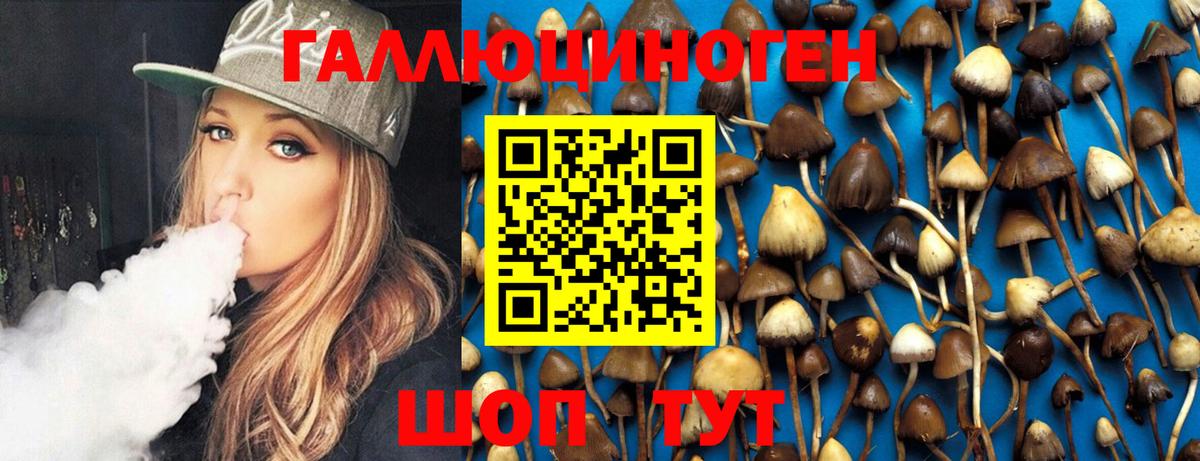 Псилоцибиновые грибы GOLDEN TEACHER Хасавюрт
